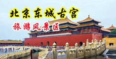 好大好深好爽想要国产乱码91中国北京-东城古宫旅游风景区